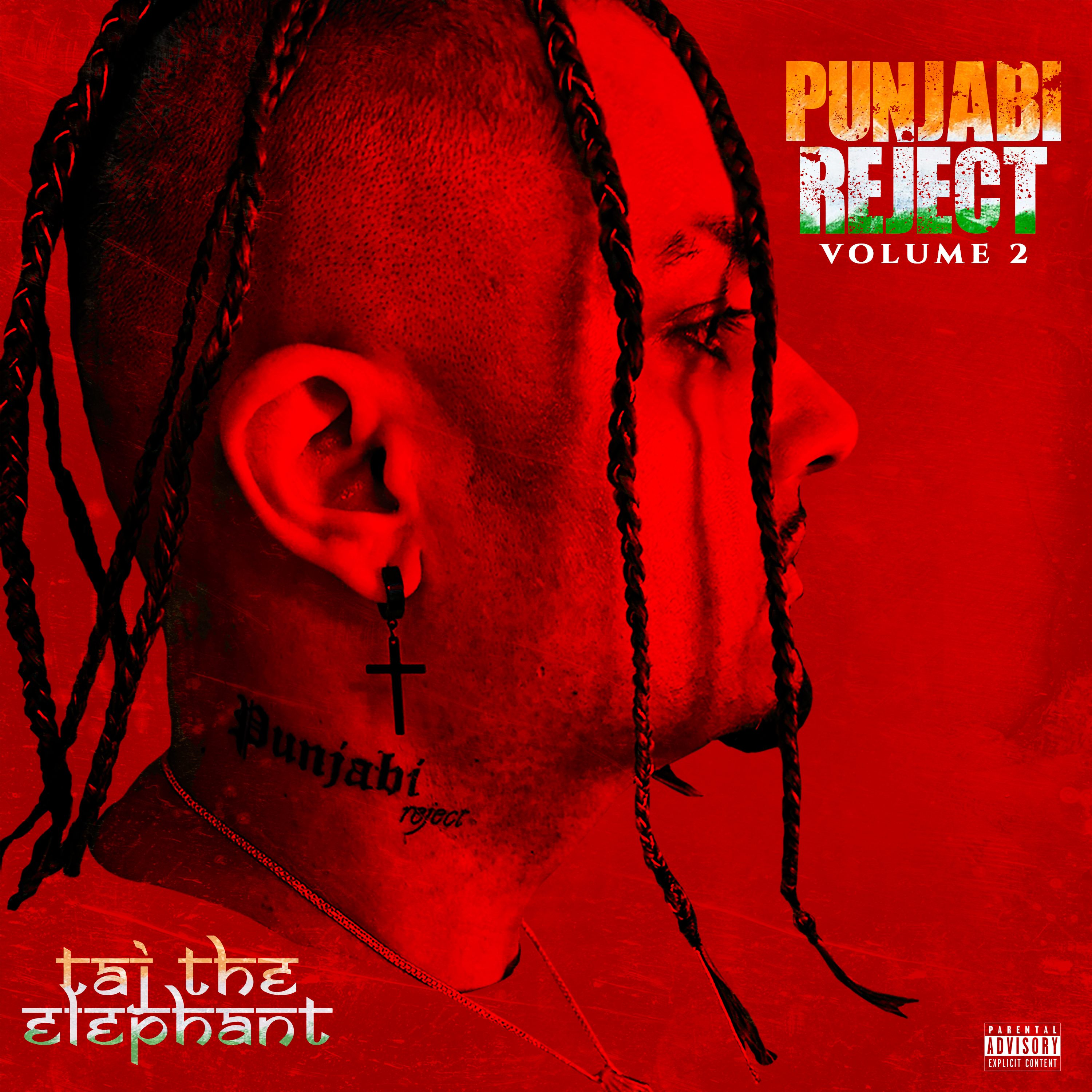 Punjabi Reject Vol. 2 Album Art